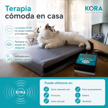 I-TECH MAGNETOTHERAPY KORA