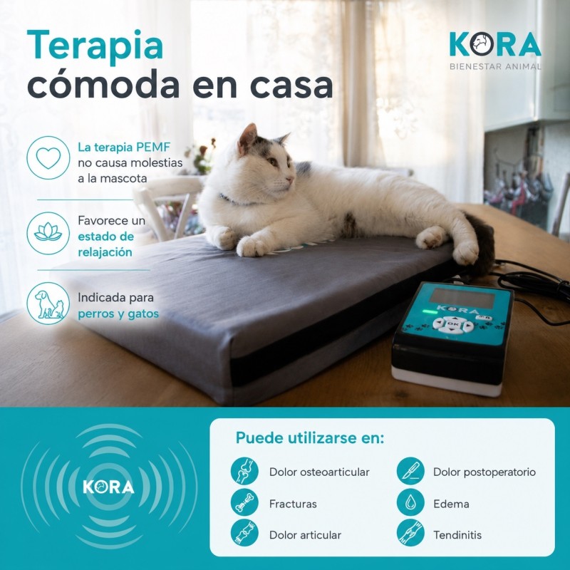 I-TECH MAGNETOTHERAPY KORA