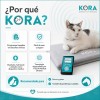 I-TECH MAGNETOTHERAPY KORA