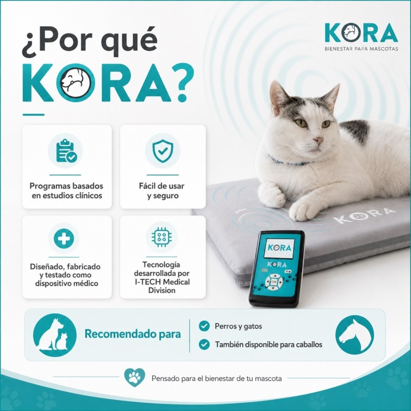 I-TECH MAGNETOTHERAPY KORA